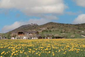 Payrgut Sankt Wolfgang Im Salzkammergut